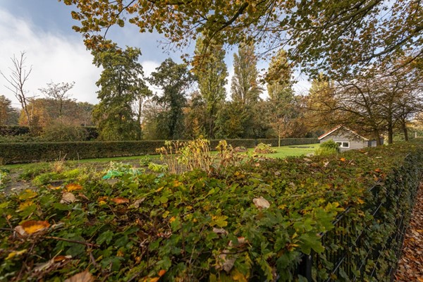 Medium property photo - Heesterstraat 72, 2563 RD Den Haag